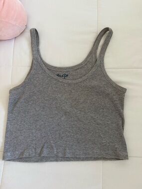 Brandy Melville Gray Ribbed Cropped Tank